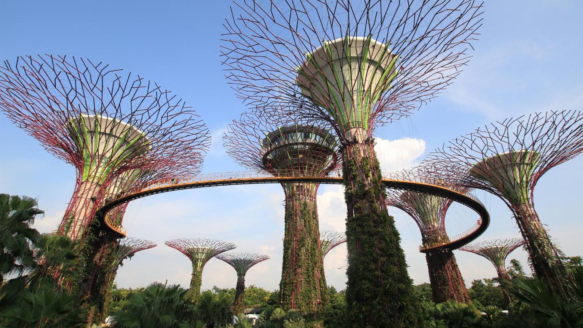 Отель Royal Plaza On Scotts Сингапур Экстерьер фото The Supertree Grove